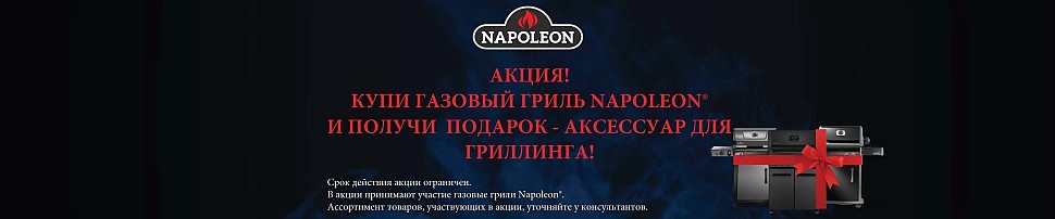 Газовые грили Napoleon в Казани